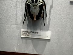 -天津自然博物馆