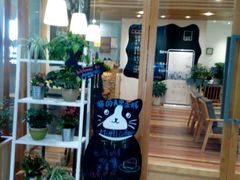 -猫的天空之城概念书店(印象城购物中心店)