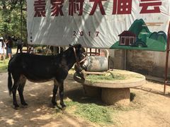 -袁家村关中印象体验地(大唐不夜城店)