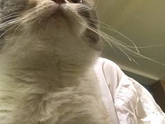 -藦茜花园宠物主题亲子互动体验馆(国顺东路店)