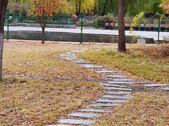 -莲花池公园