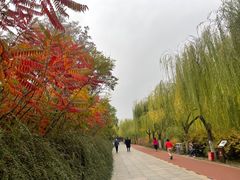-南翠屏公园