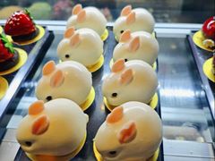 -雍容荟活波龙自助餐(IFS黑金店)