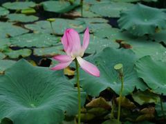 -南通洲际绿博园