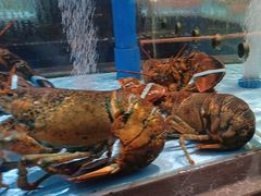 -阿伟海鲜楼·福建菜(延寿店)