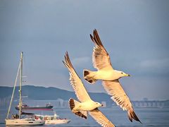 -大连海昌东方水城