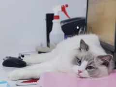 -福州肆爪动物医院