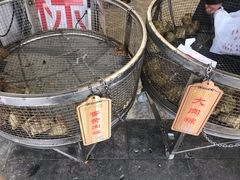 -赵记粽子(司前街店)