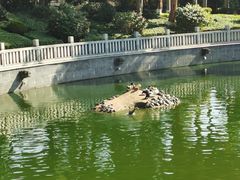 -梵天禅寺