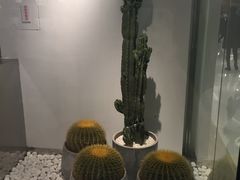 -喜茶(深圳东门1234店)