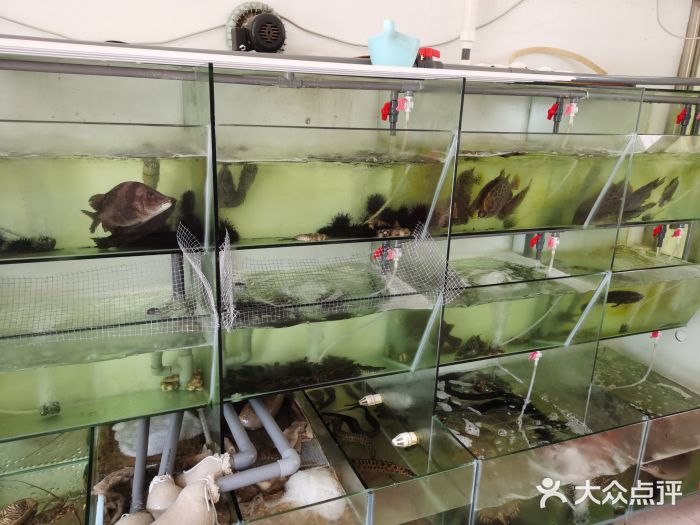绿园生态农庄排档水产区图片