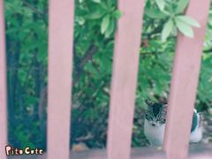 -晓港公园
