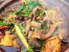 -沙胆彪炭炉牛杂煲(成都玉林店)