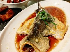 -金美华轩(东方路齐鲁店)