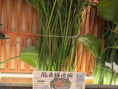 -云阿蛮云南生烫牛肉米线(奉贤路店)