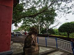 -三峡古玩城(泰古广场店)