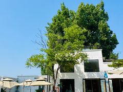 -小意思咖啡店(草桥店)