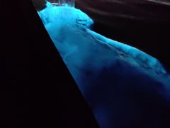 -涠洲岛南湾海洋运动公园
