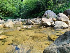 -广州白江湖森林公园