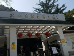 -上海佘山国家森林公园西佘山园