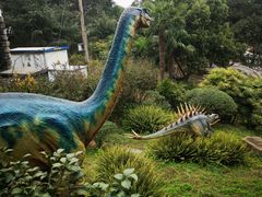 -自贡恐龙博物馆