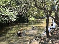 -贵阳市花溪国家城市湿地公园