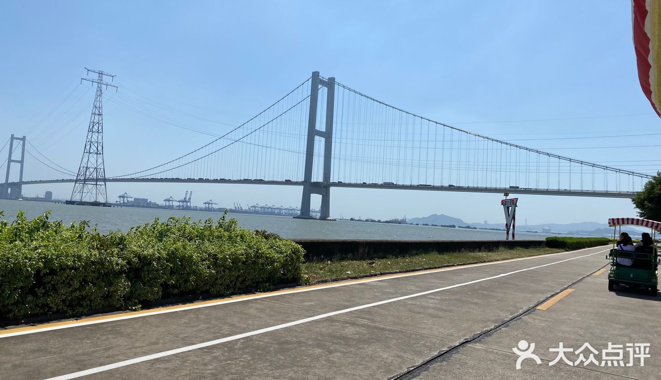 海鸥岛游啊游