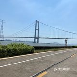 海鸥岛游啊游
