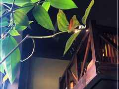 -MOKKA莫卡咖啡(大名路店)