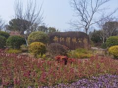 -新江湾城公园