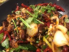 -熊猫川菜馆 panda chine