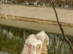 -桃花堤公园