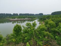 -东郊湿地公园