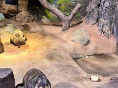 -正佳雨林生态植物园