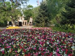 -哈尔滨文化公园