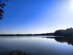 -上海海湾国家森林公园