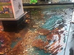-盒马鲜生(宝地店)