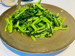 -松赞拉萨林卡酒店