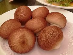 -上海玫瑰园度假酒店