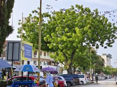 -槟城街头艺术街区