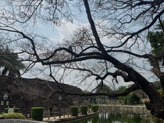 -石炮台公园