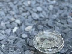 水泥拿铁-漫笙舍Manse·咖啡·民宿