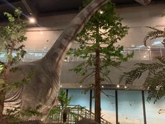 -湖南省地质博物馆