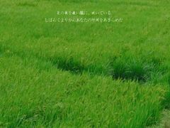 -红山村