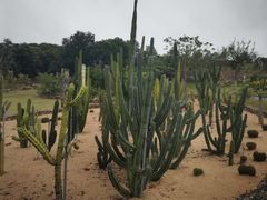 -东莞植物园
