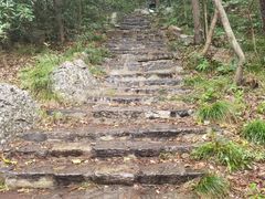 -紫金山山顶公园