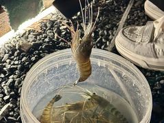-DGE季风钓虾营地·团建·聚会