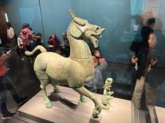 -广西壮族自治区博物馆