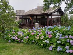 -鼓岭旅游度假区