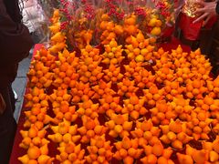 -越秀西湖花市(广州城市广场花卉店)